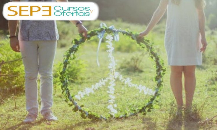 curso de paz y no violencia