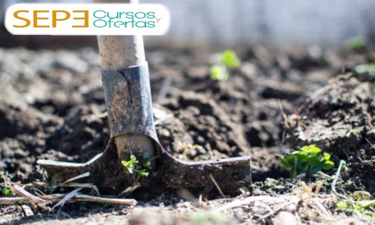 curso de jardinería