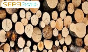 curso de arrumado de trozas