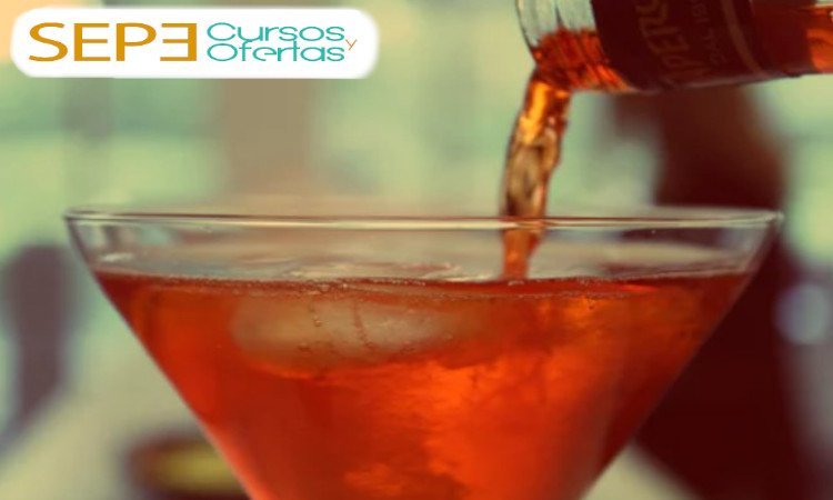 curso de Coctelera