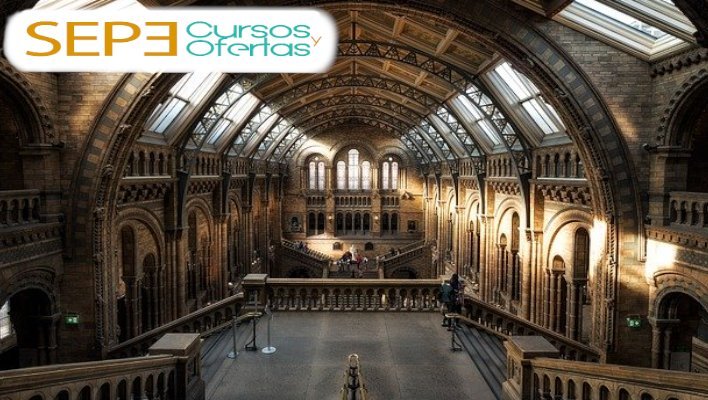 diseño museografico